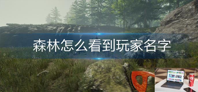森林怎么看到玩家名字-第1张图片-零力游戏日记