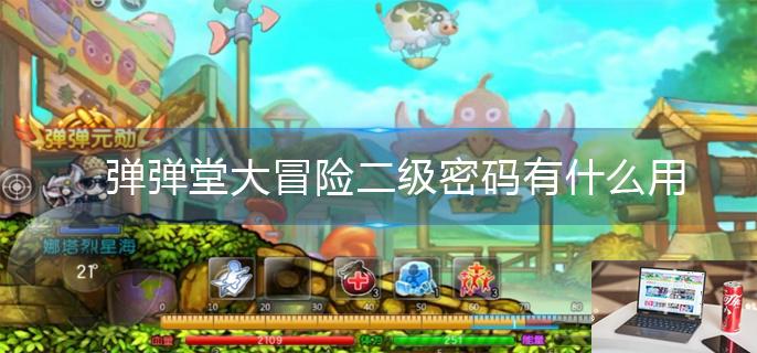弹弹堂大冒险二级密码有什么用-第1张图片-零力游戏日记