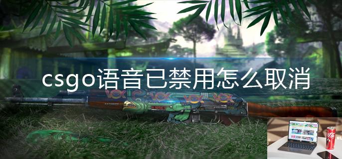 csgo语音已禁用怎么取消-第1张图片-零力游戏日记