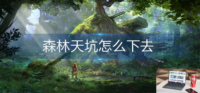 森林天坑怎么下去-第1张图片-零力游戏日记