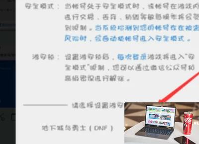 dnf安全模式怎么开启-第6张图片-零力游戏日记