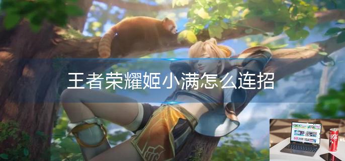 王者荣耀姬小满怎么连招-第1张图片-零力游戏日记