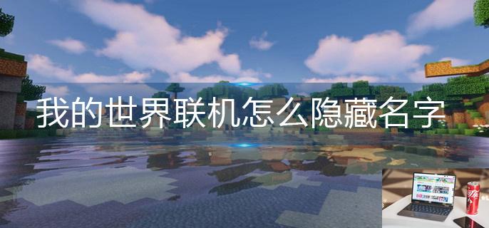 我的世界联机怎么隐藏名字-第1张图片-零力游戏日记
