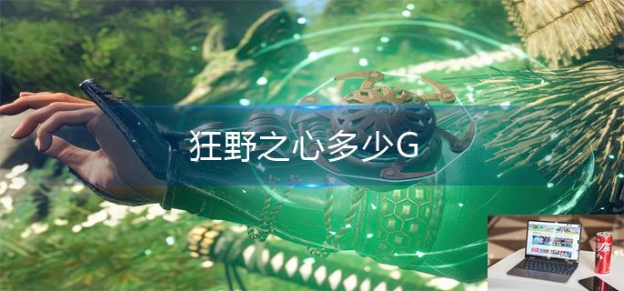 狂野之心多少G-第1张图片-零力游戏日记
