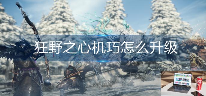 狂野之心机巧怎么升级-第1张图片-零力游戏日记