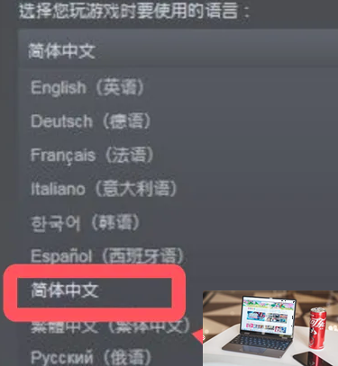 严阵以待怎么设置中文-第2张图片-零力游戏日记