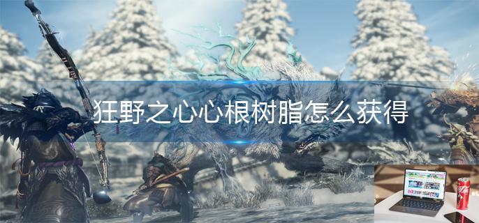 狂野之心心根树脂怎么获得-第1张图片-零力游戏日记