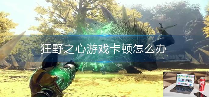狂野之心游戏卡顿怎么办-第1张图片-零力游戏日记