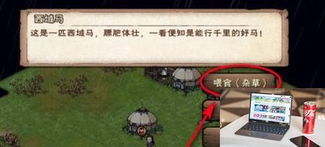 烟雨江湖西域马怎么骑-第2张图片-零力游戏日记