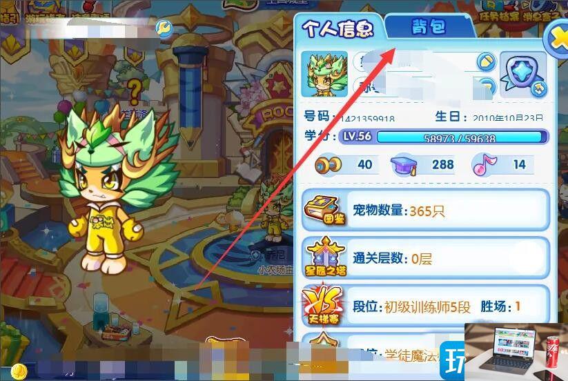 洛克王国名牌怎么使用-第3张图片-零力游戏日记