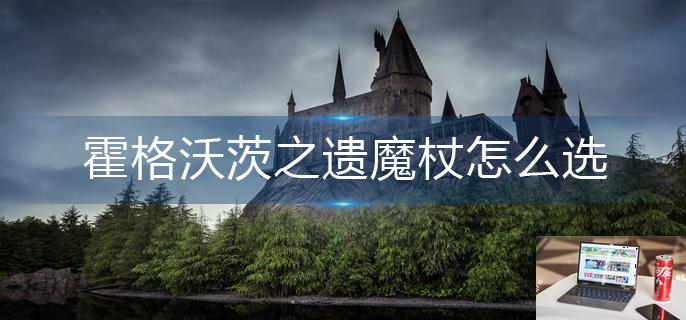 霍格沃茨之遗魔杖怎么选-第1张图片-零力游戏日记