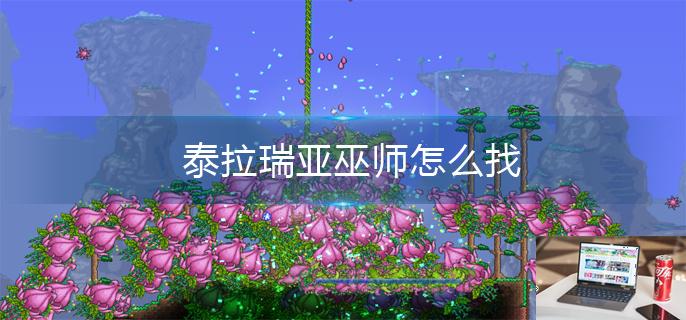 泰拉瑞亚巫师怎么找-第1张图片-零力游戏日记