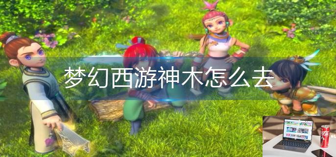 梦幻西游神木怎么去-第1张图片-零力游戏日记
