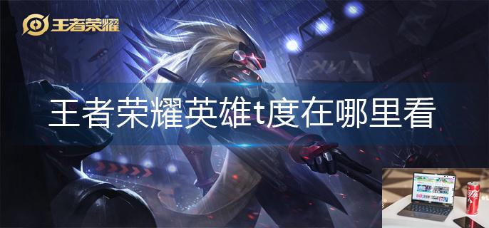 王者荣耀英雄t度在哪里看-第1张图片-零力游戏日记