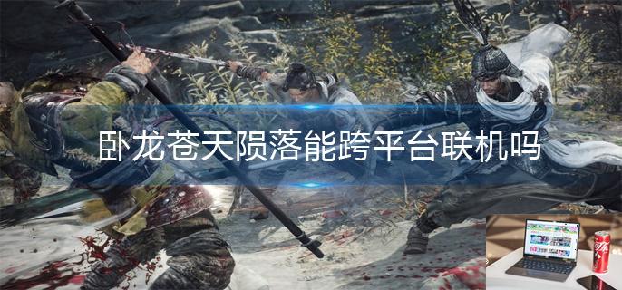 卧龙苍天陨落能跨平台联机吗-第1张图片-零力游戏日记