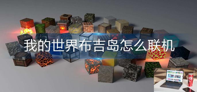我的世界布吉岛怎么联机-第1张图片-零力游戏日记
