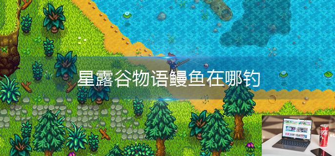 星露谷物语鳗鱼在哪钓-第1张图片-零力游戏日记