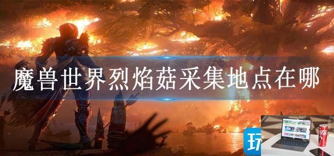 魔兽世界烈焰菇采集地点在哪-第1张图片-零力游戏日记