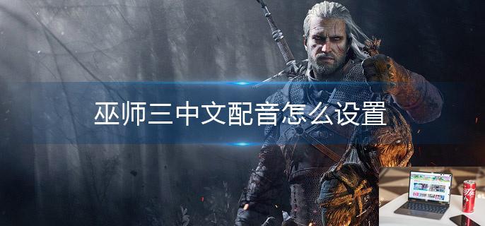巫师三中文配音怎么设置-第1张图片-零力游戏日记