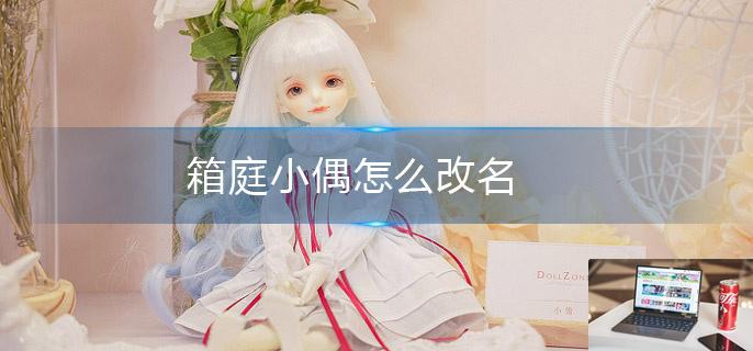 箱庭小偶怎么改名-第1张图片-零力游戏日记