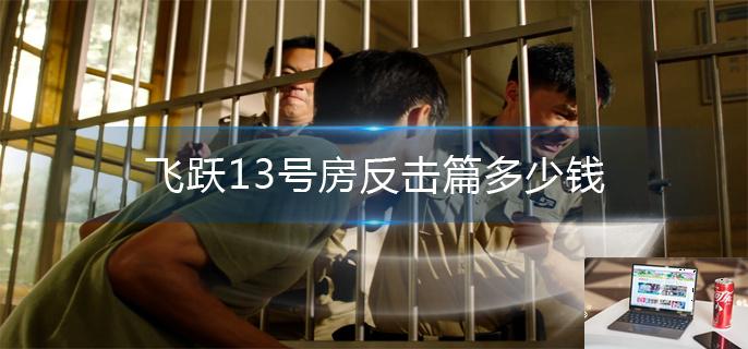 飞越13号房反击篇多少钱-第1张图片-零力游戏日记