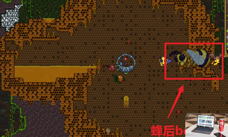 泰拉瑞亚怎么召唤蜂后-第3张图片-零力游戏日记