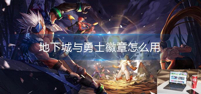 地下城与勇士徽章怎么用-第1张图片-零力游戏日记