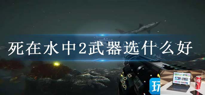 死在水中2武器选什么好-第1张图片-零力游戏日记