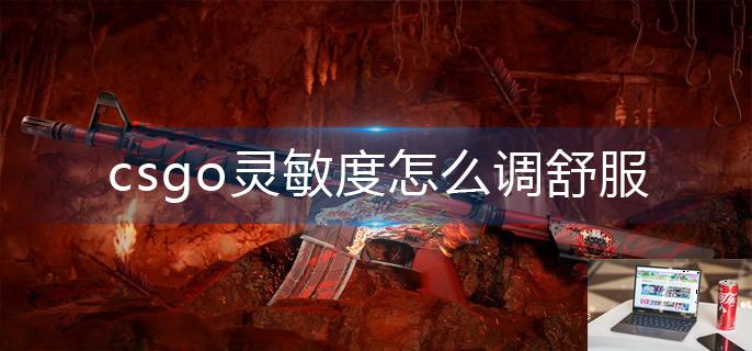 csgo灵敏度怎么调舒服-第1张图片-零力游戏日记