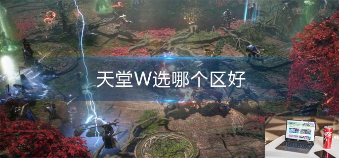 天堂W选哪个区好-第1张图片-零力游戏日记
