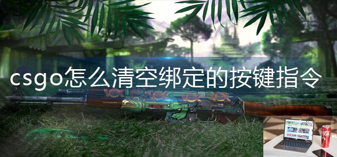 csgo怎么清空绑定的按键指令-第1张图片-零力游戏日记