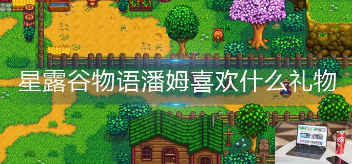 星露谷物语潘姆喜欢什么礼物-第1张图片-零力游戏日记
