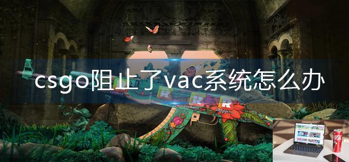 csgo阻止了vac系统怎么办-第1张图片-零力游戏日记