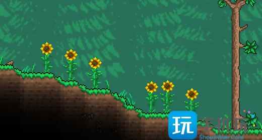 泰拉瑞亚向日葵怎么得-第1张图片-零力游戏日记