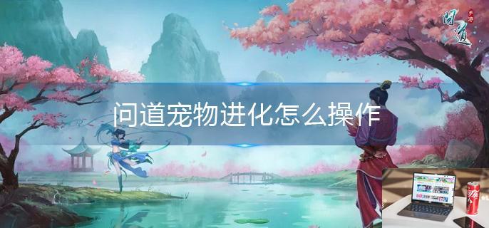 问道宠物进化怎么操作-第1张图片-零力游戏日记