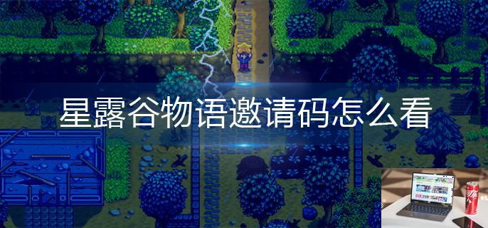 星露谷物语邀请码怎么看-第1张图片-零力游戏日记