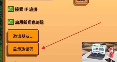 星露谷物语邀请码怎么看-第2张图片-零力游戏日记