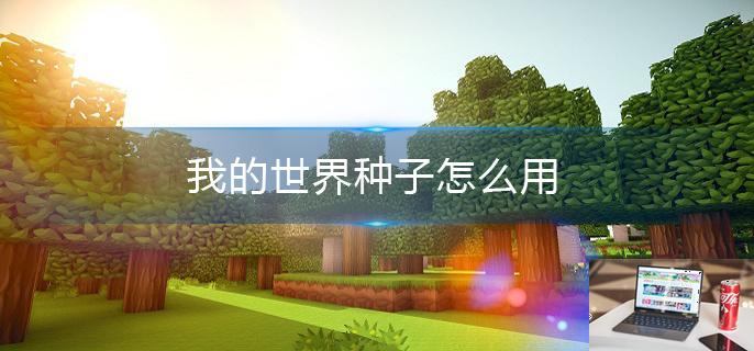 我的世界种子怎么用-第1张图片-零力游戏日记