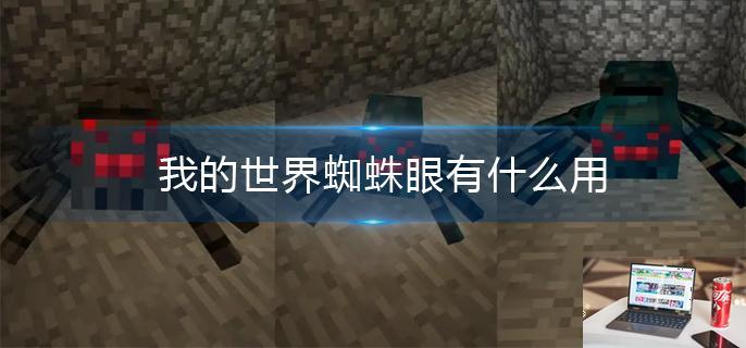 我的世界蜘蛛眼有什么用-第1张图片-零力游戏日记