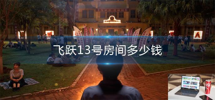 飞越13号房多少钱-第1张图片-零力游戏日记