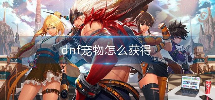 dnf宠物怎么获得-第1张图片-零力游戏日记