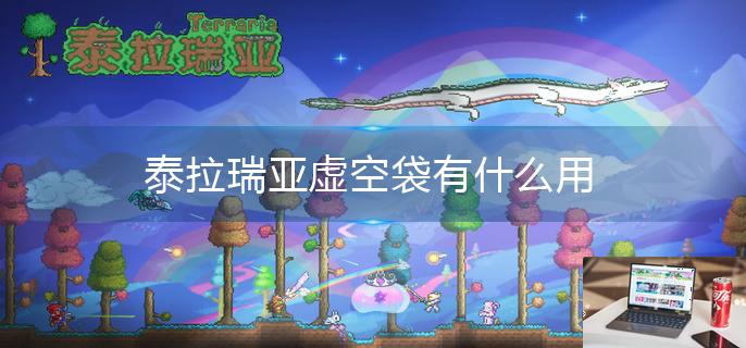 泰拉瑞亚虚空袋有什么用-第1张图片-零力游戏日记