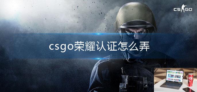 csgo荣耀认证怎么弄-第1张图片-零力游戏日记