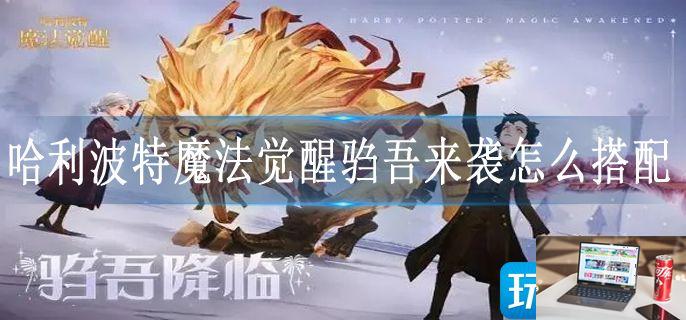 哈利波特魔法觉醒驺吾来袭怎么搭配-第1张图片-零力游戏日记