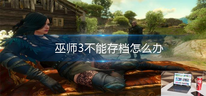 巫师3不能存档怎么办-第1张图片-零力游戏日记