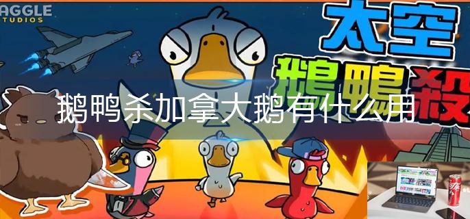 鹅鸭杀加拿大鹅有什么用-第1张图片-零力游戏日记