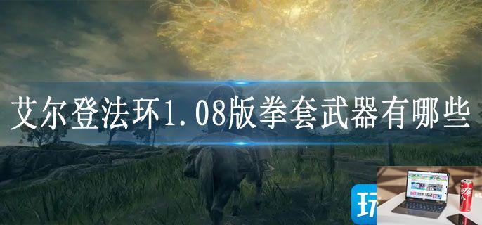 艾尔登法环1.08版拳套武器有哪些,艾尔登法环1.08版拳套武器推荐攻略-第1张图片-零力游戏日记