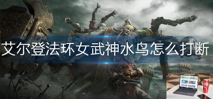 艾尔登法环女武神水鸟怎么打断-第1张图片-零力游戏日记