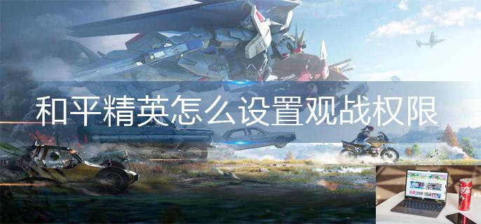 和平精英怎么设置观战权限-第1张图片-零力游戏日记