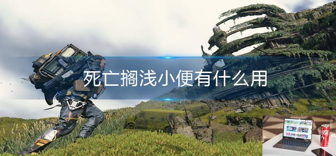 死亡搁浅小便有什么用-第1张图片-零力游戏日记
